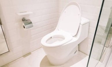 Complete guide toilets